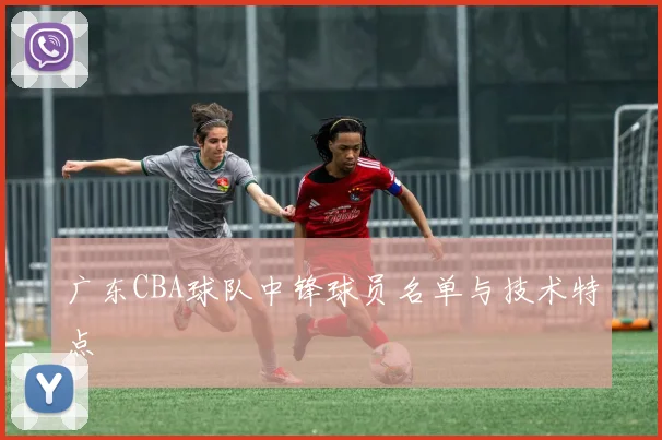 广东CBA球队中锋球员名单与技术特点