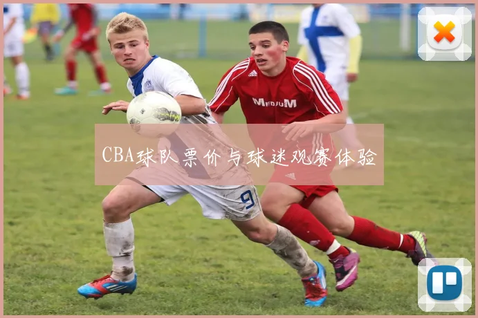 CBA球队票价与球迷观赛体验