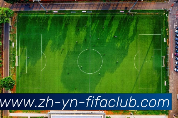 多媒体互动体验