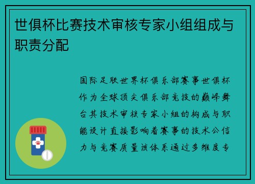 世俱杯比赛技术审核专家小组组成与职责分配